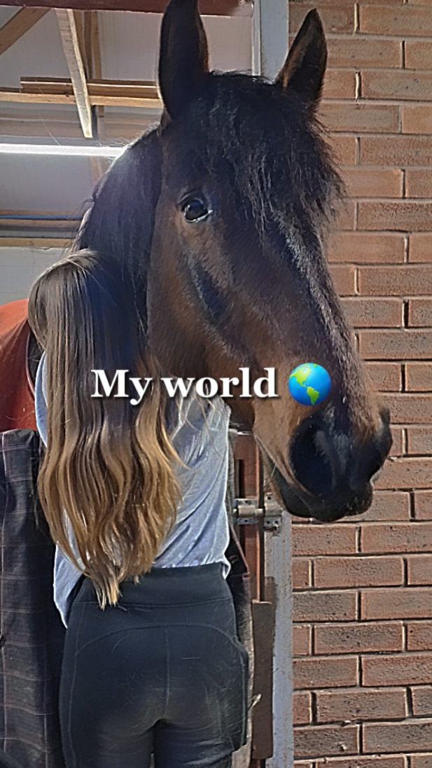 mon monde
