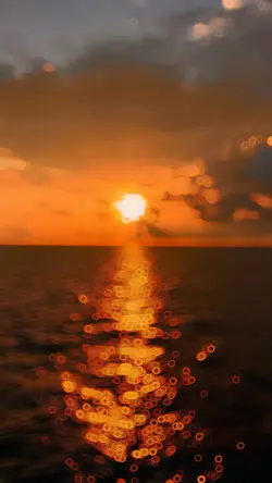 T8. Sunset