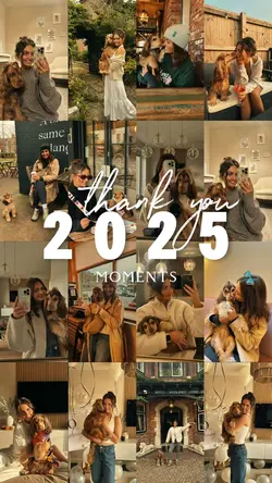 2025 dog recap hund