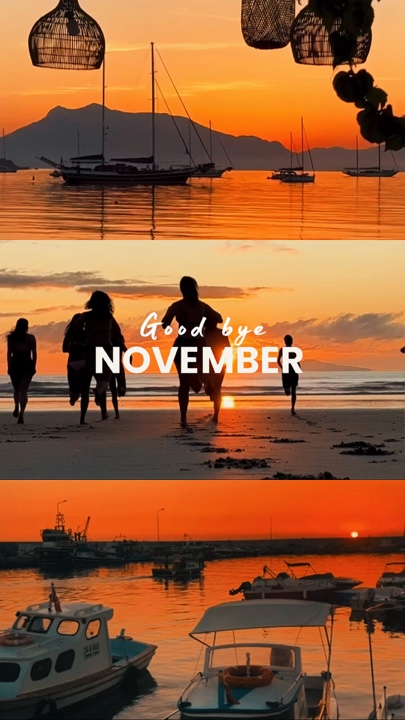Adiós noviembre