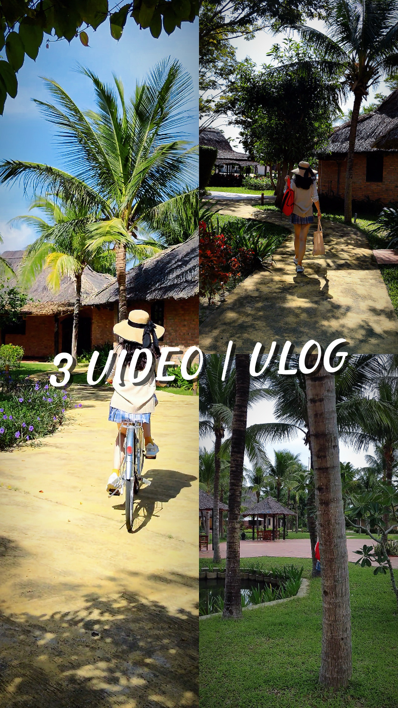 3 VIDÉO | VLOG