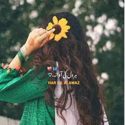har Dil ki awaaz