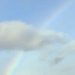 거북이 - 비행기