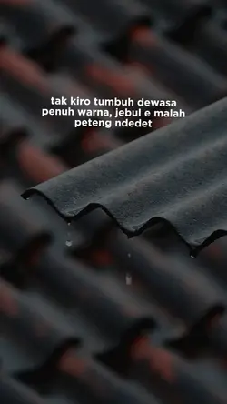 20.16