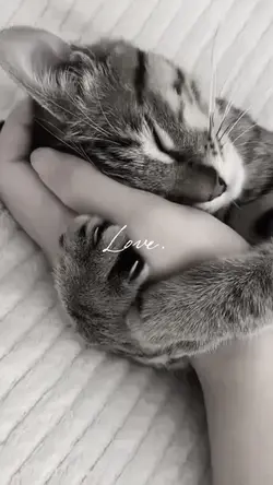 Love.