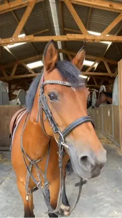 Roses et épines 🙏🏼