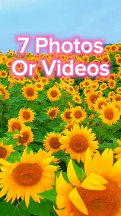 7 Video Slides