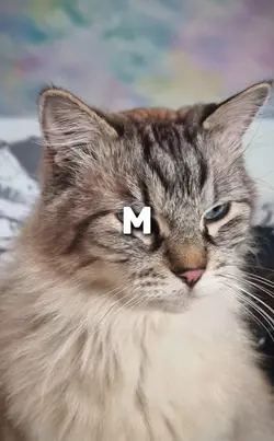 Pet trend 