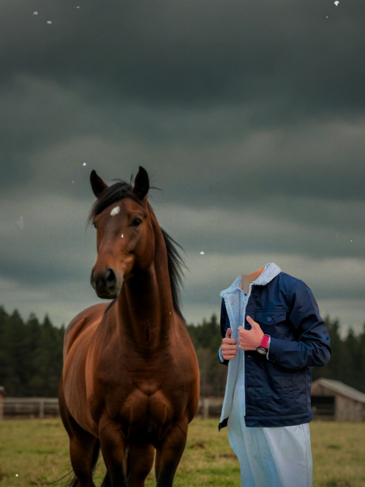Photo with Horse