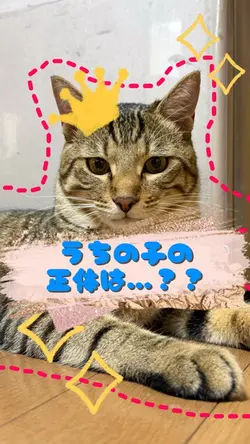 イケメン王子様✨うちの子の正体…