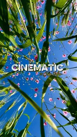 Cinematic 10 Videos 