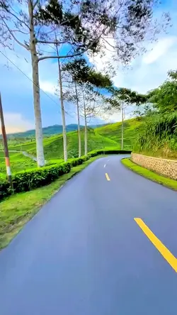 3 video aesthetic HD