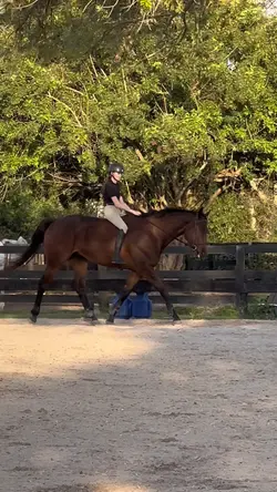 old clip ⚠️FAKE⚠️