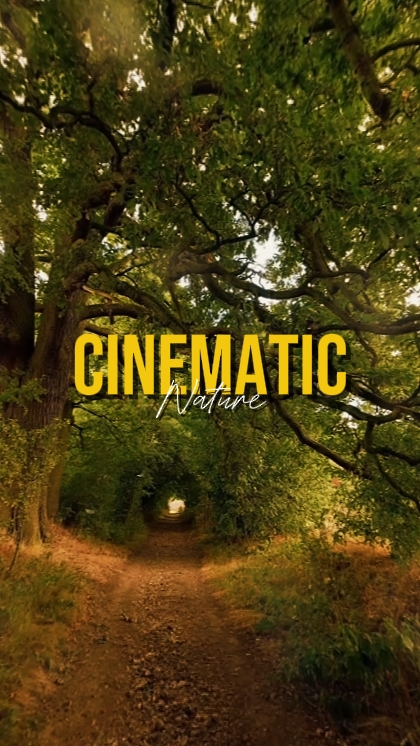 NATUREZA CINEMÁTICA