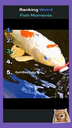 Ranking fish moments