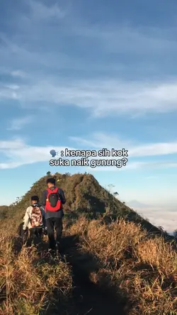 kenapa suka naik