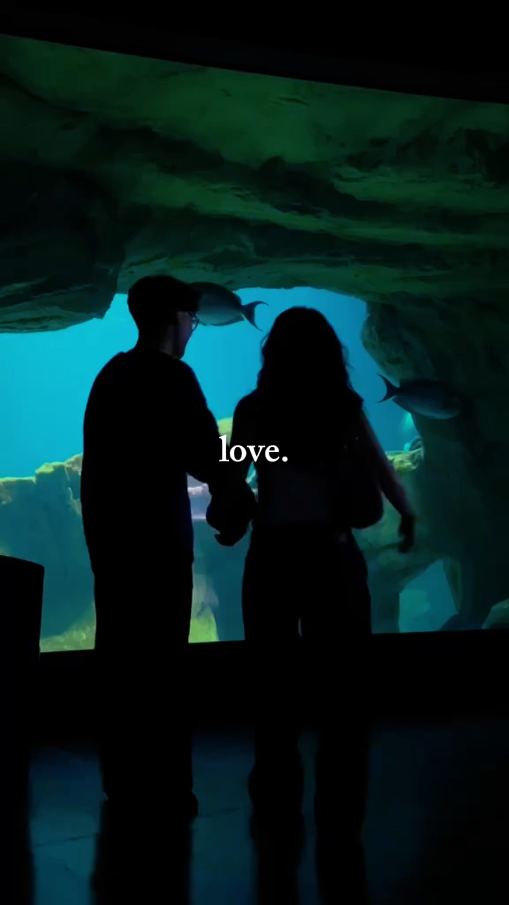 amour.