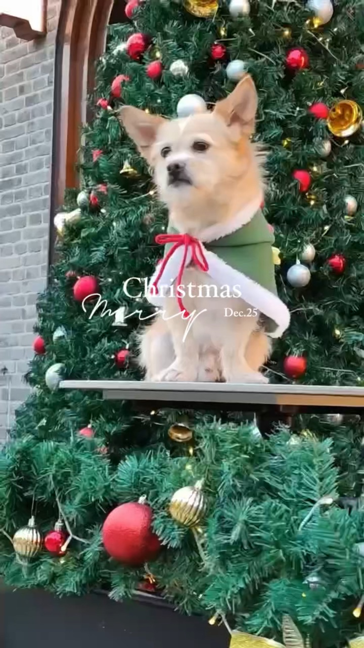 Mascota navideña