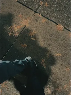 Orang bru lebe gacor