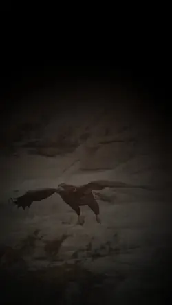 قالب انقضاض النسر
