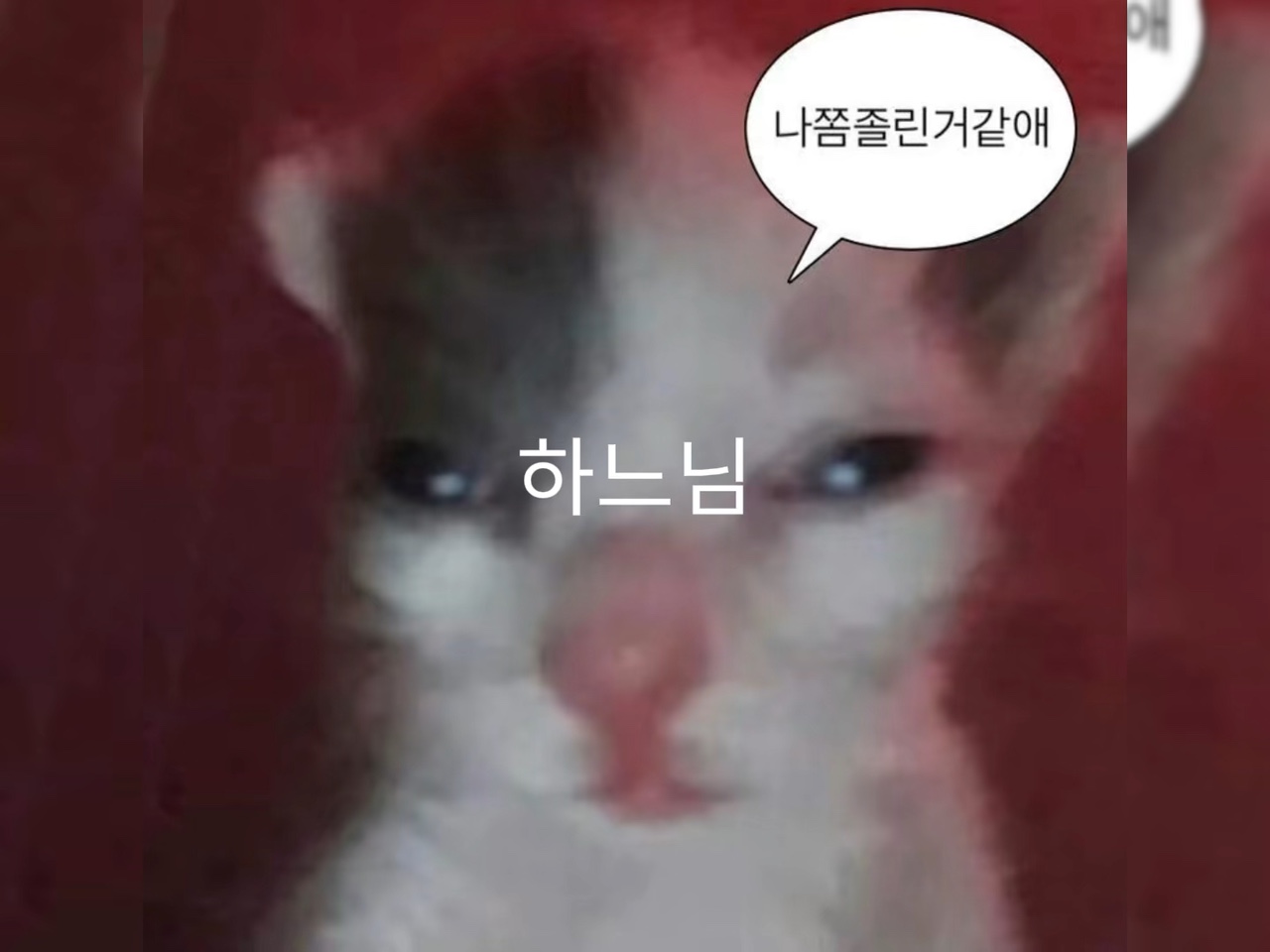 다들 컾크이신가요 솔크이신가요 ..?