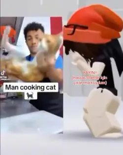 cani insanlar bukada