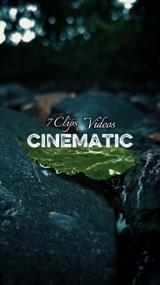 CINÉMATIQUE 7 VIDÉOS