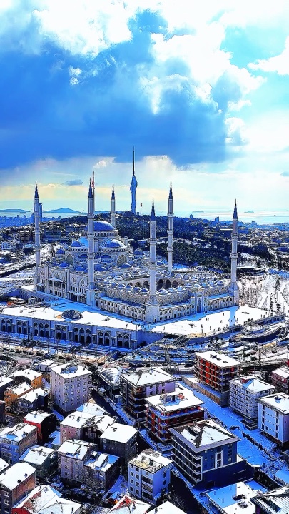 Cover Picture