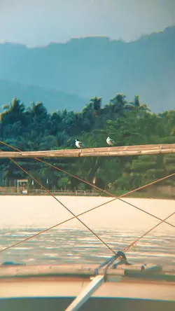 Tulad ng isang ibon