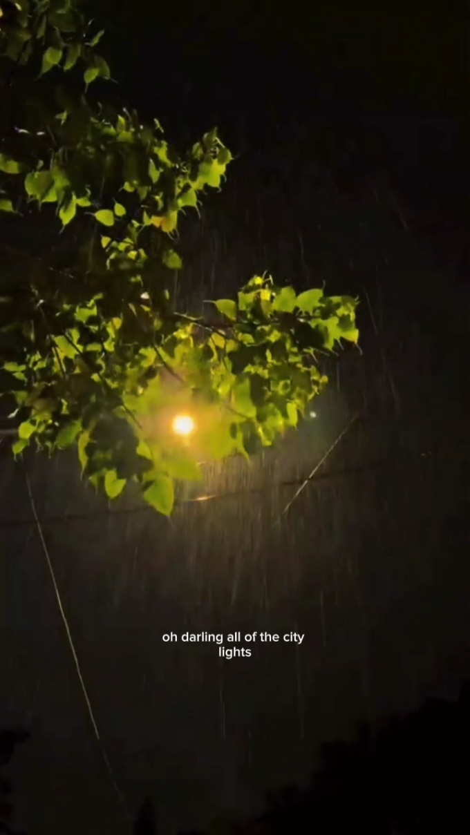 City lights 