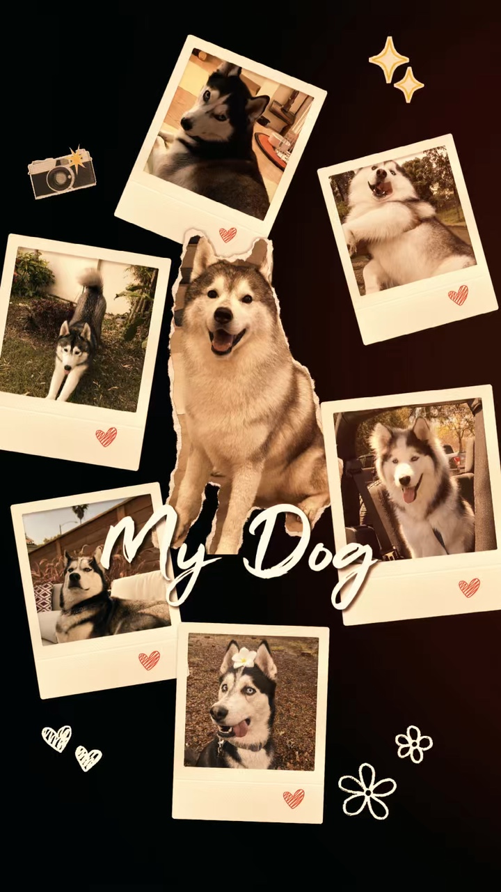 Mon chien 