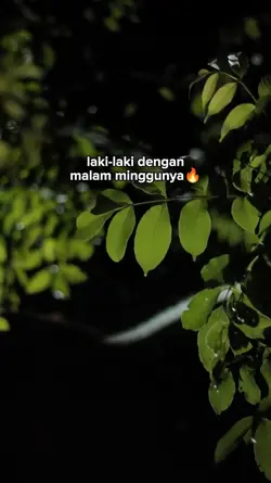 Malam minggu