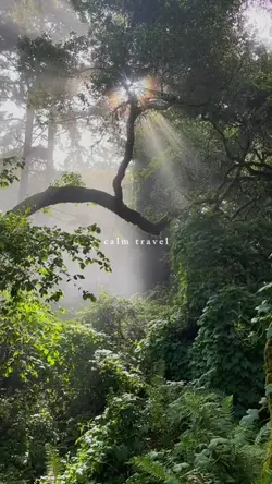 calm travel