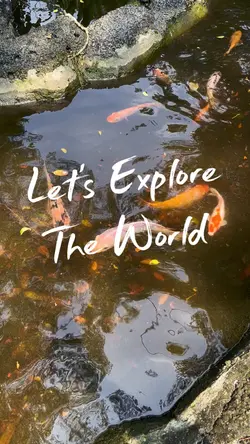 Explore the Zoo with