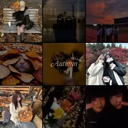 【秋雰囲気🍁Vlogや思い出保存に!!】