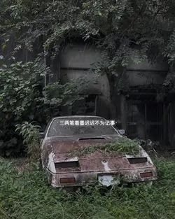 Thăm Cố Tri 探故知