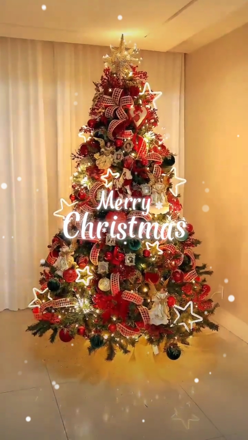 Merry Christmas