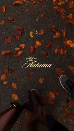 day in autumn