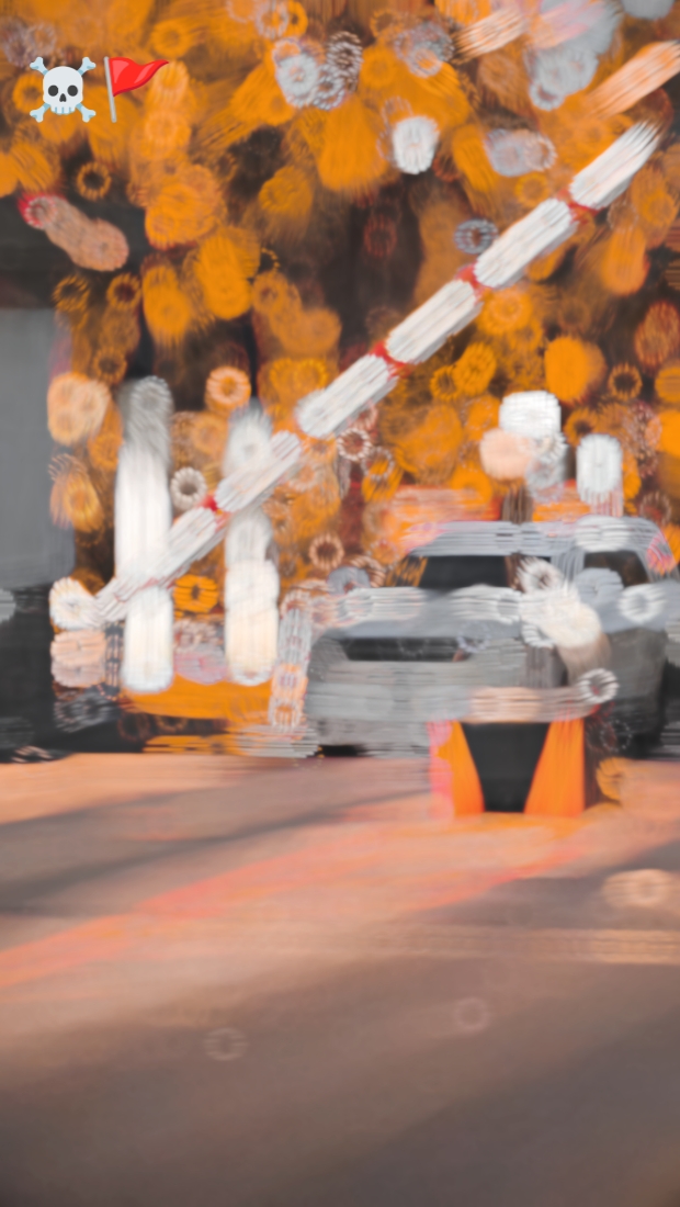 tren viral TikTok 