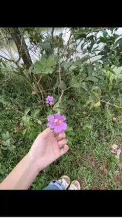 ไลฟ์โฟโต้