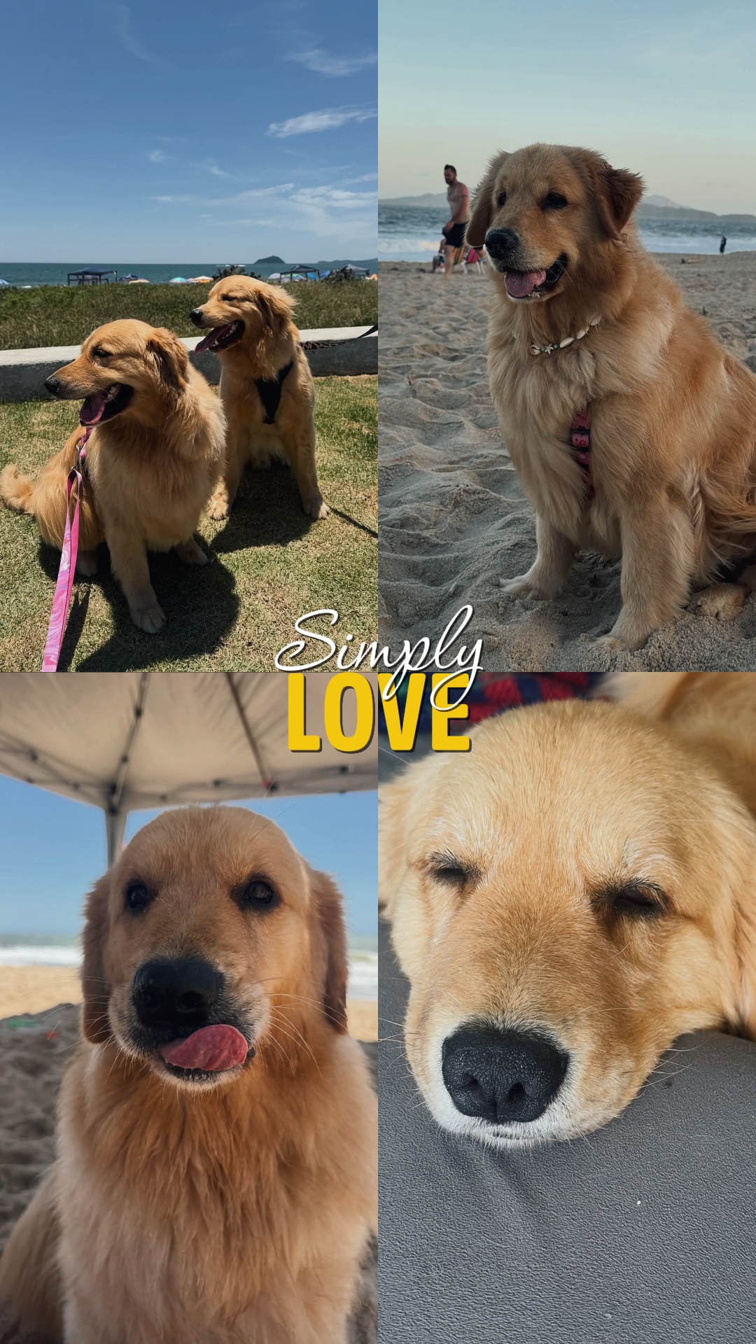 SIMPLEMENTE AMOR