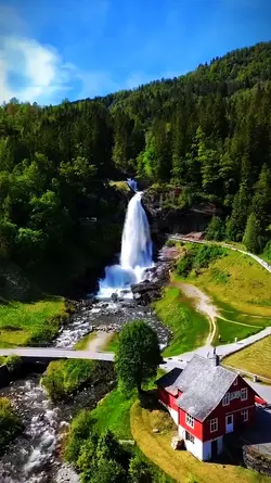 NATURE