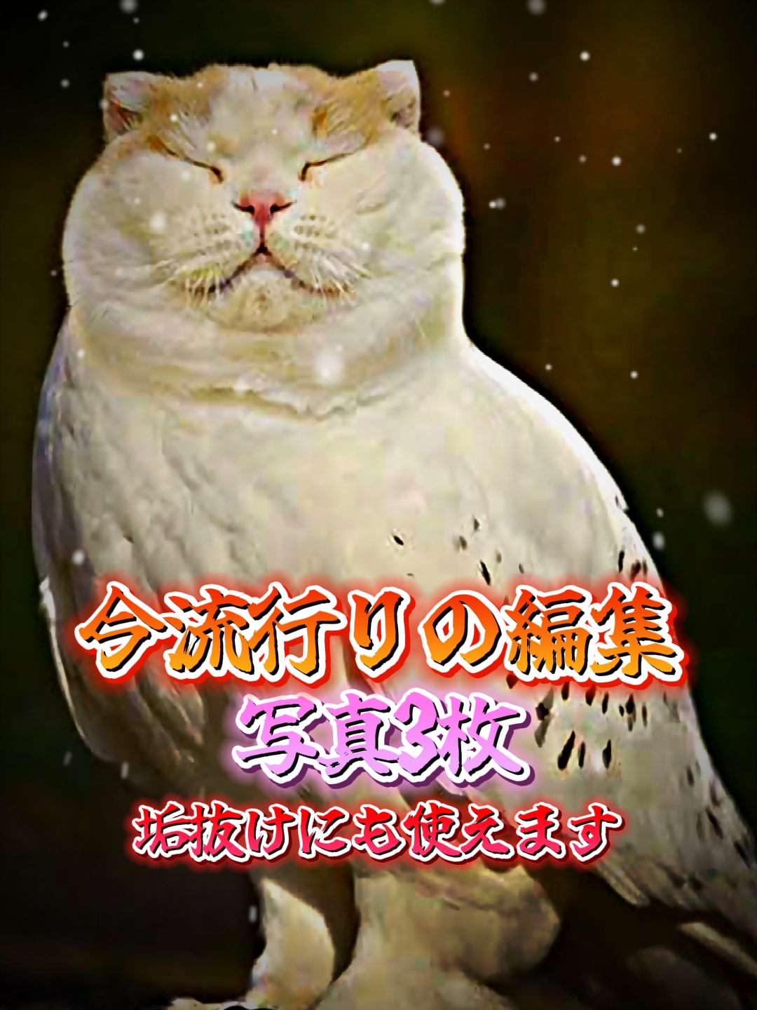 垢抜け動画にも使える今流行りの編集！？