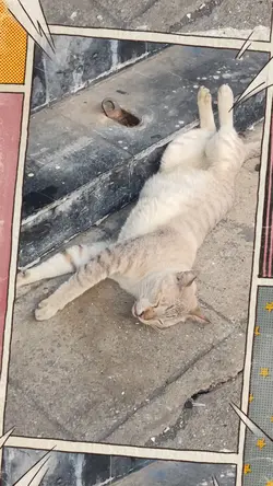 ตลก