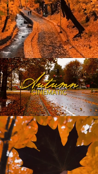 autumn cinematic