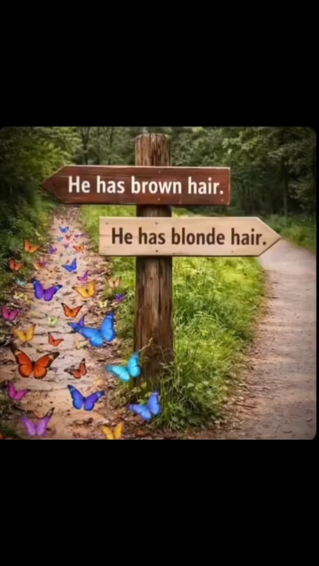 Ele tem cabelo castanho 