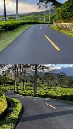 2 video collage