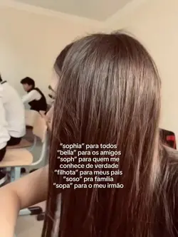 Sophia para todos
