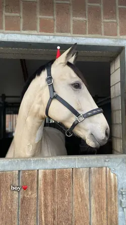 good looking boy🌟