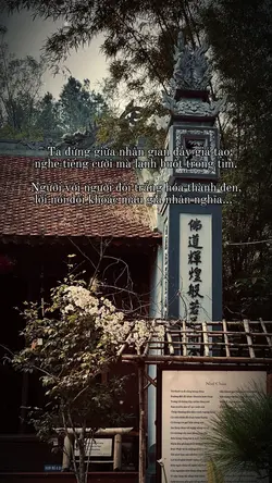 Caption + màu